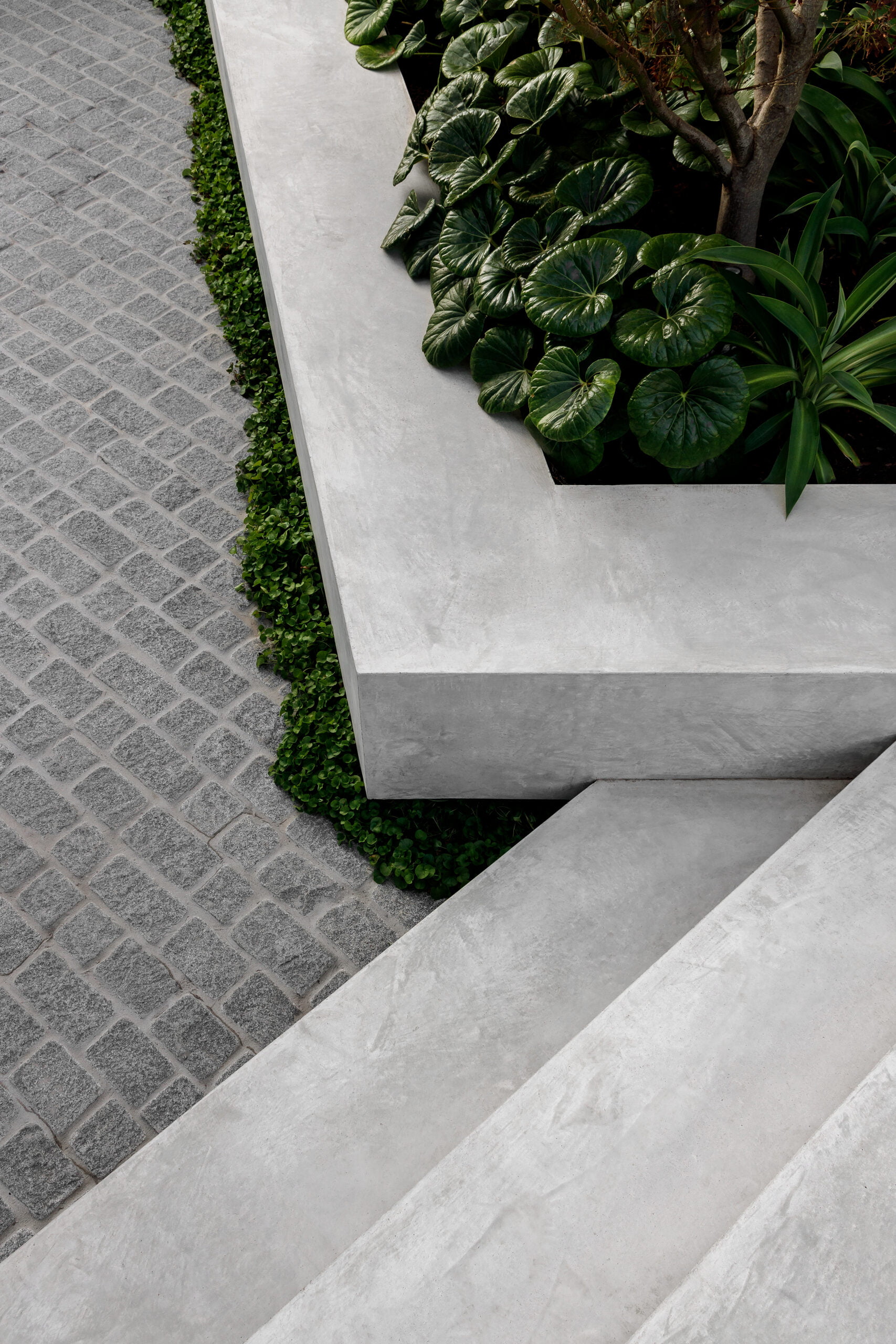 Landscaping: Brunswick courtyard